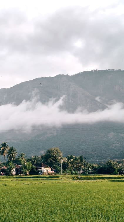 Kakkadampoyil misty resorts