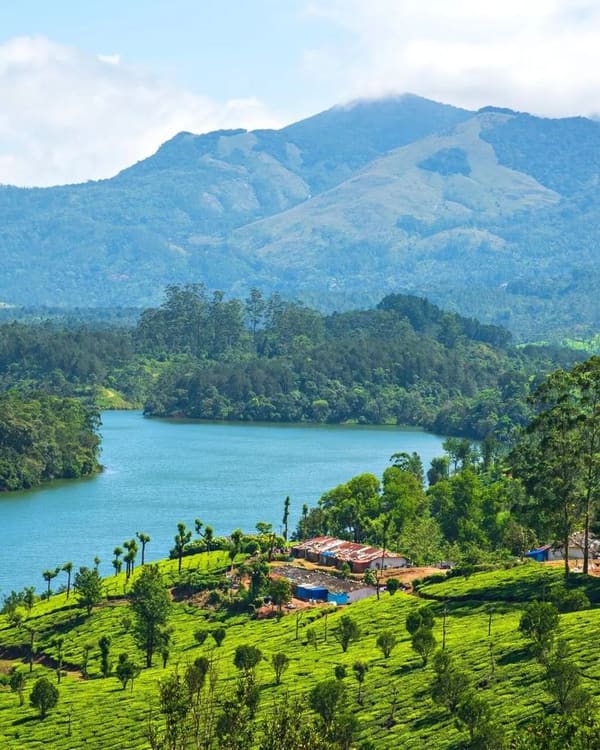 Munnar resorts and stays