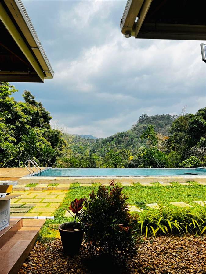 Munnar Family and Bachelors Plantation Stay in Munnar, Kerala